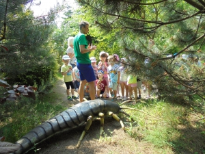 Wycieczka do parku edukacyjno-rozrywkowego ,,mikrokosmos”