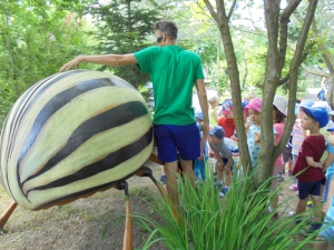 Wycieczka do parku edukacyjno-rozrywkowego ,,mikrokosmos”