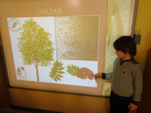 Cykl zajęć przyrodniczych 2016/2017