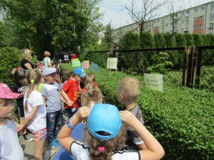 Międzynarodowy Dzień Różnorodności Biologicznej 2017