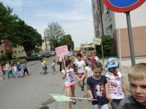Międzynarodowy Dzień Różnorodności Biologicznej 2017