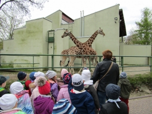Wycieczka do łódzkiego zoo - 2017