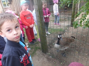 Wycieczka do Przybynowa