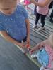 IMG20250310124152947