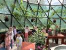 IMG4083